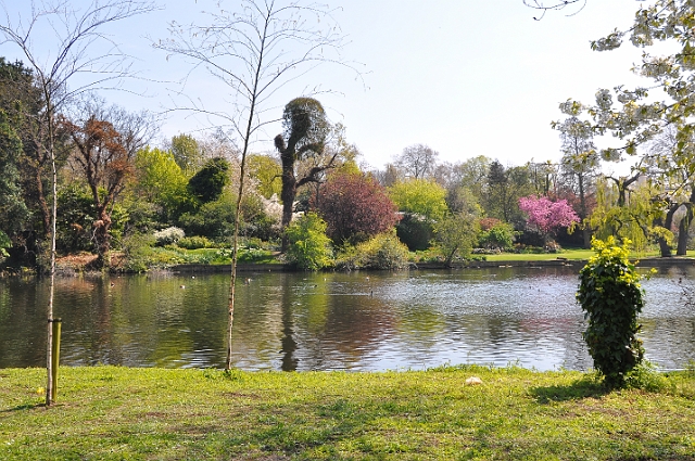 23 04_Regents Park_2727.JPG - REGENTS PARK, LONDON
